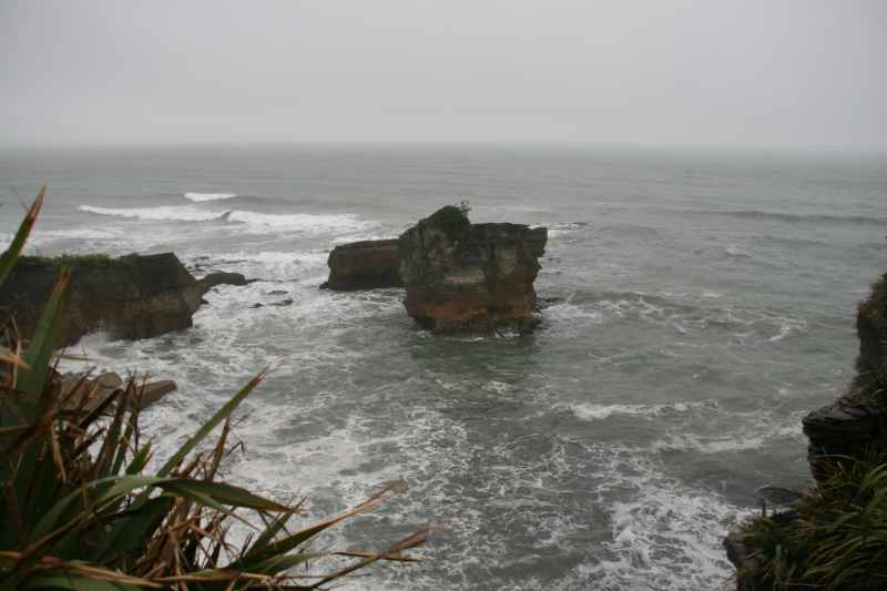 Nieuw-Zeeland 2011 - 1304